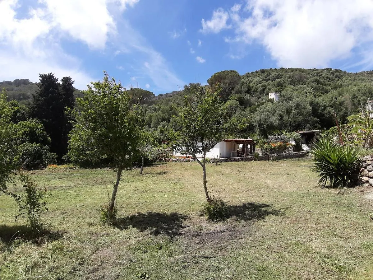 Feriehus Garden House Q4527 Villa Carloforte