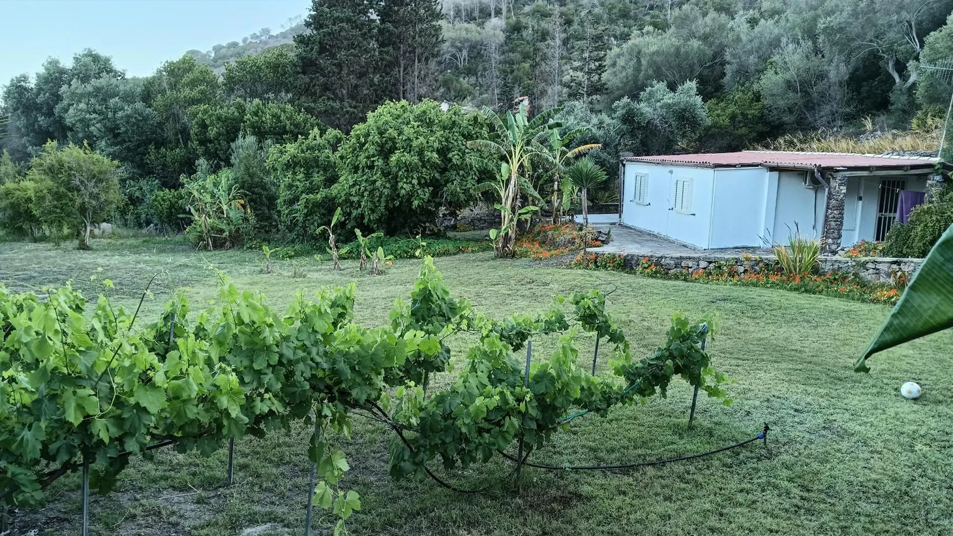 Garden House Q4527 Villa Carloforte  Italien