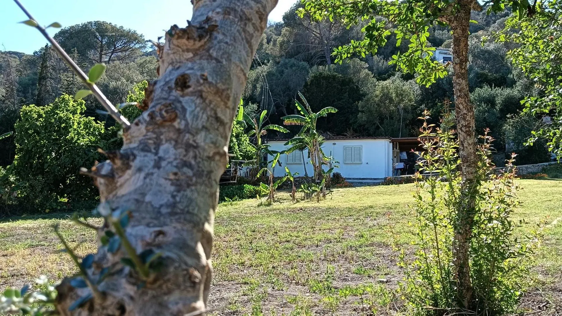 Feriehus Garden House Q4527 Villa Carloforte